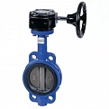 Затвор Dendor тип 017W DN250 н/ж с редуктором